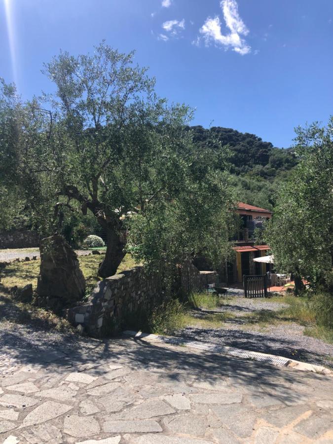 Ca Di Matti - Casa Oliva Diano Borello Exterior foto